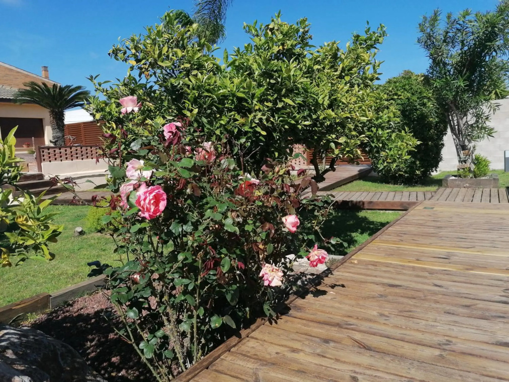 Villa Paquita - Delta de lEbre