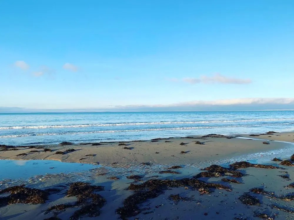 Sea view cottage walk to beach dog friendly