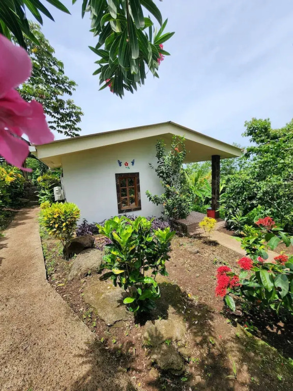 The Jungle Lodge
