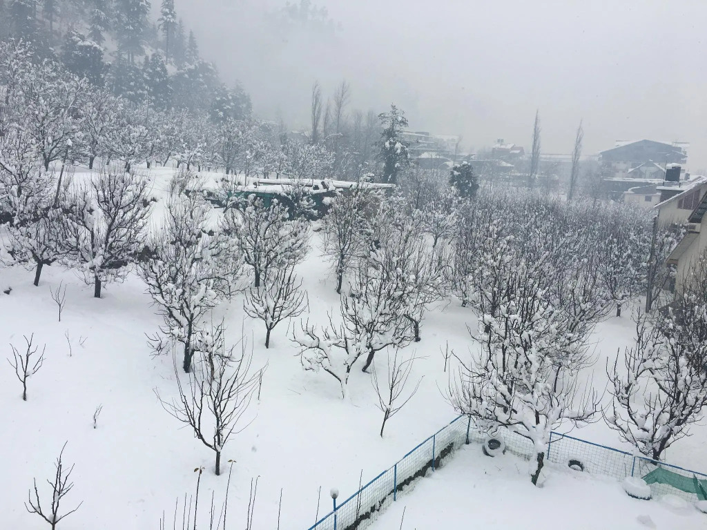 Ride At Hills-Nihal Cottage Manali