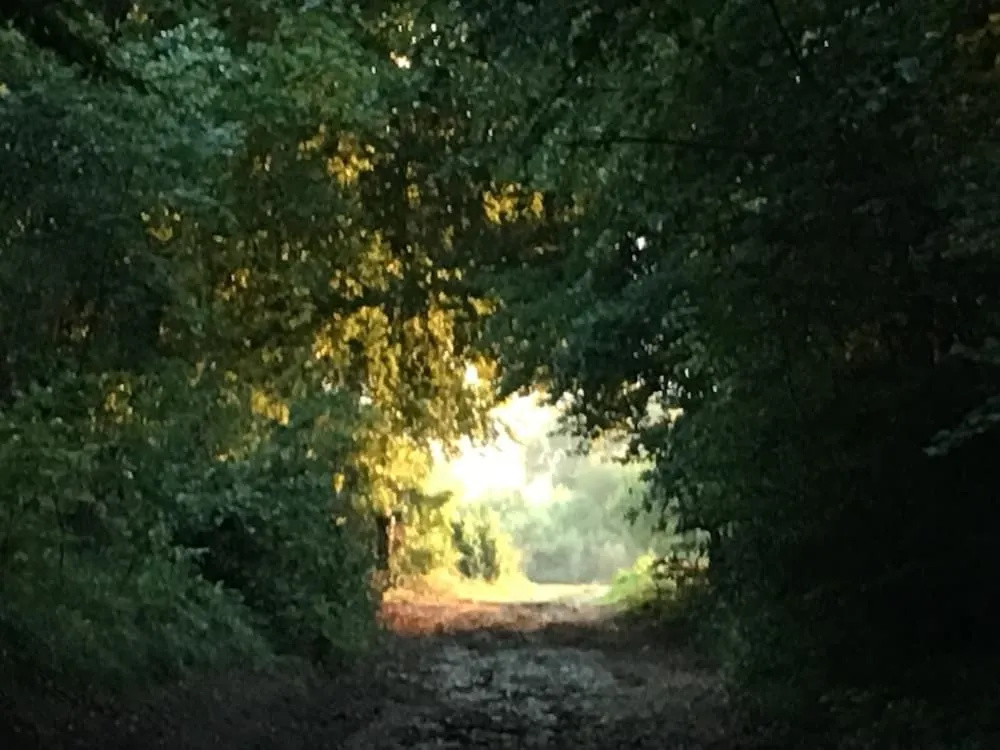 Domaine St Germer