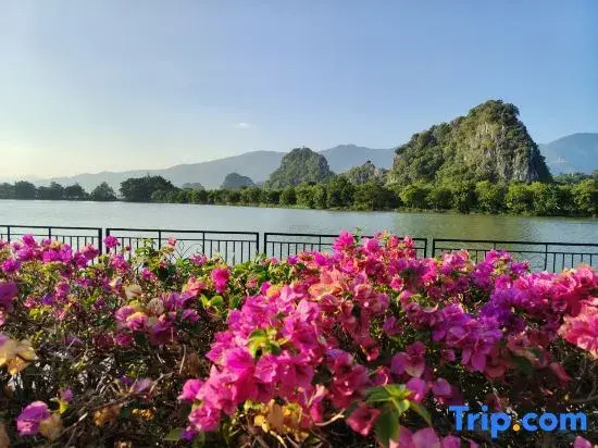 Zhaoqing Yueyou Homestay (Qixingyan Yanqian Village)