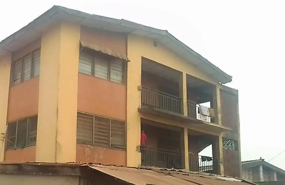 A 2-story building with 2 shops