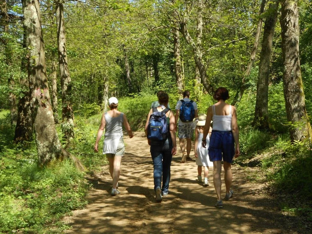 Casa Vacanze La Baghera Alta