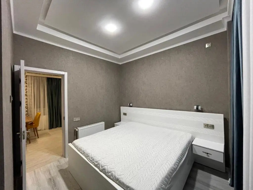2h komnatnye apartamenty v tsentre Kutaisi