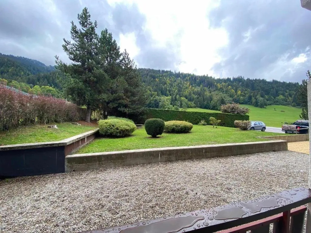 Appartement La Clusaz, 2 pièces, 5 personnes - FR-1-459-88