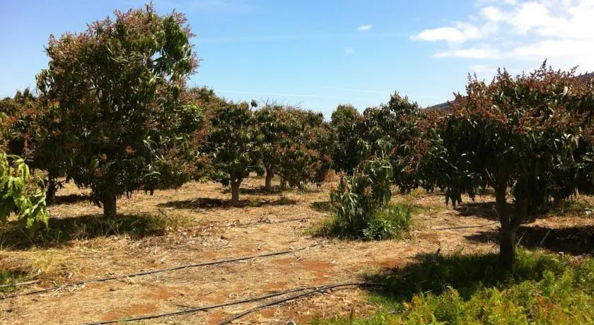 Finca Biologica