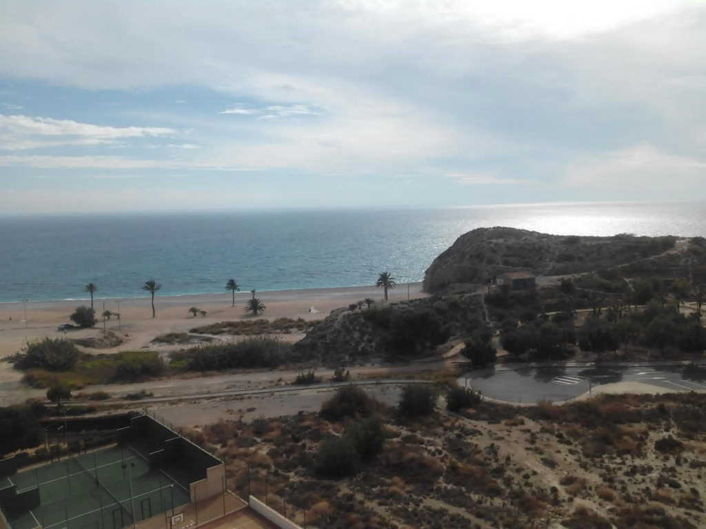 Partida Paraiso 4-8e