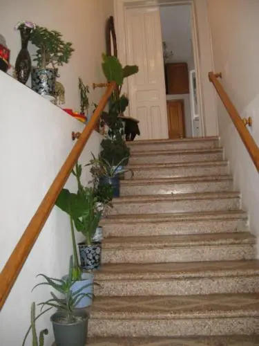 Hostel Temuri