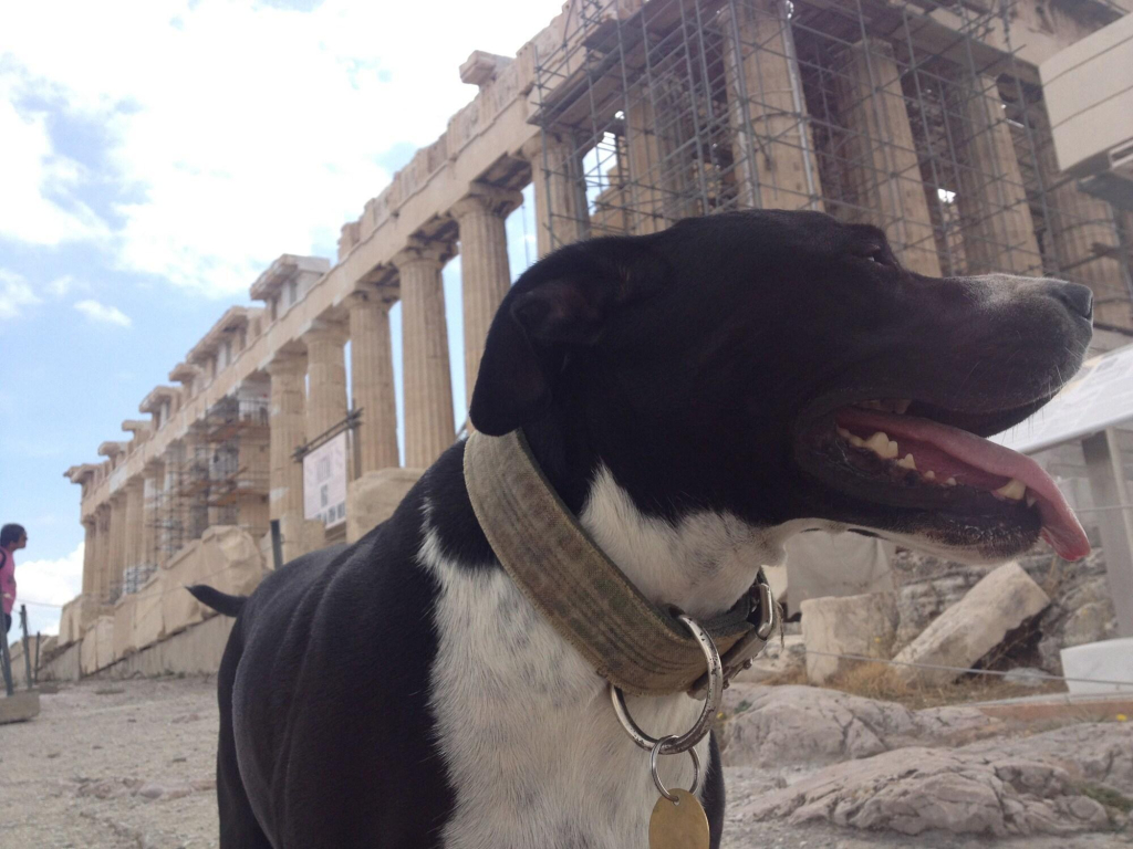 Athens Backpackers