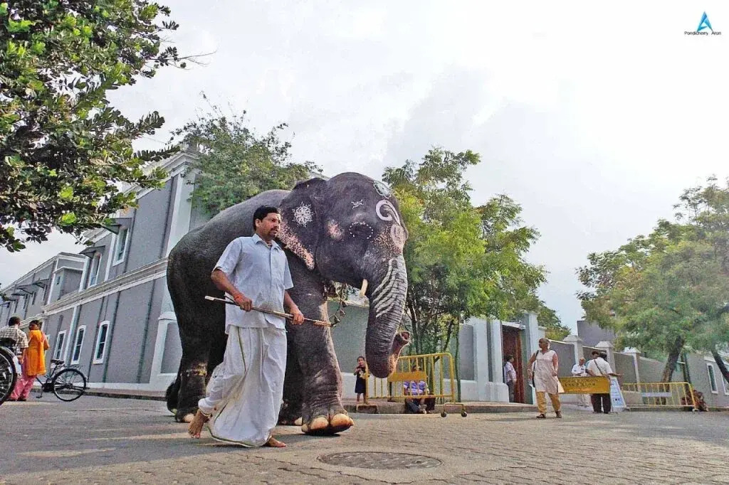 Villa Montecarlo