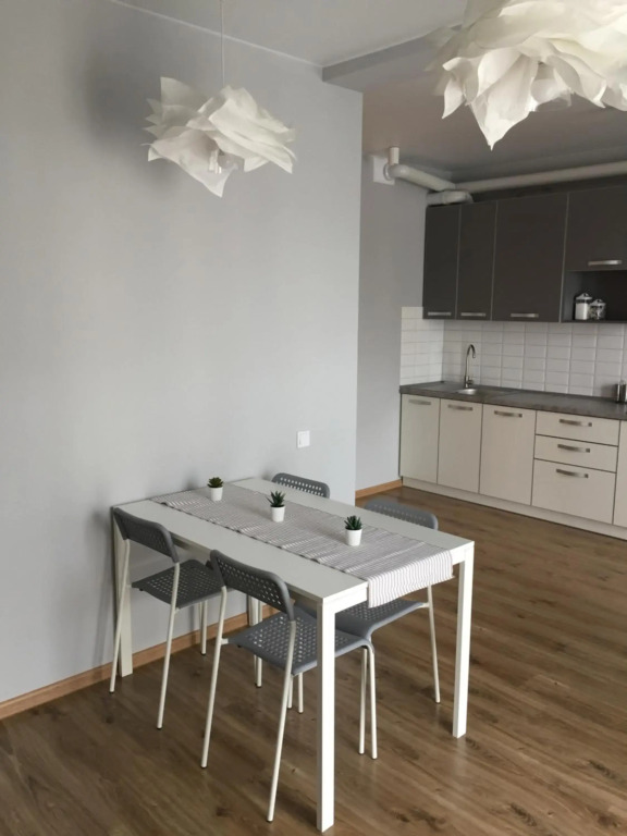 Scandinavian apartment