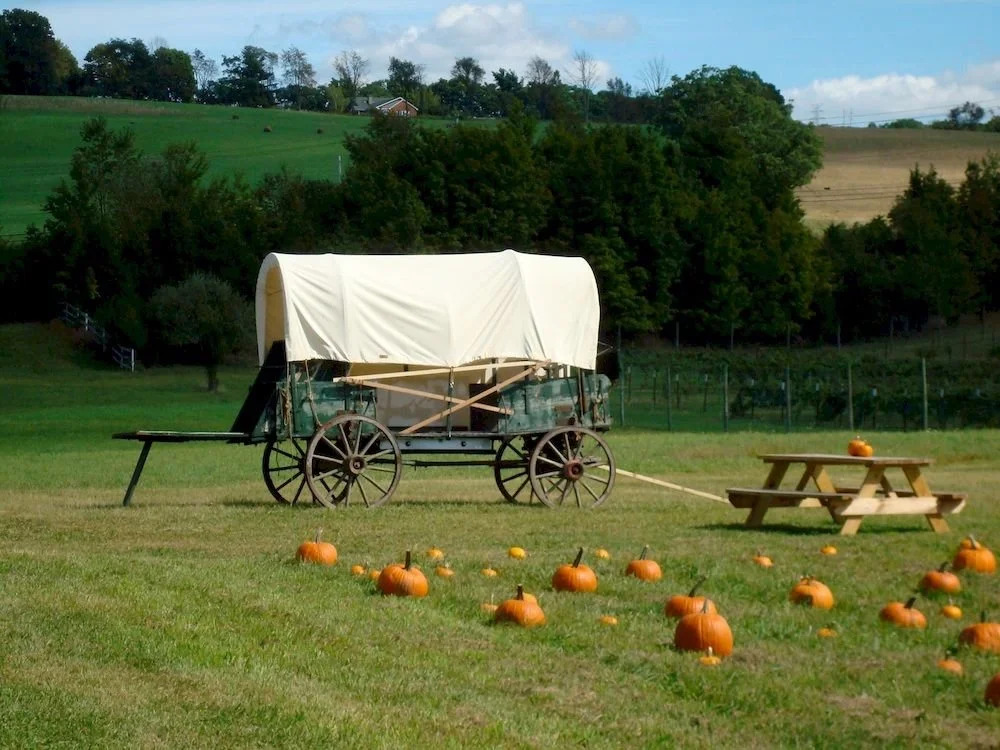 Oceane Vineyards