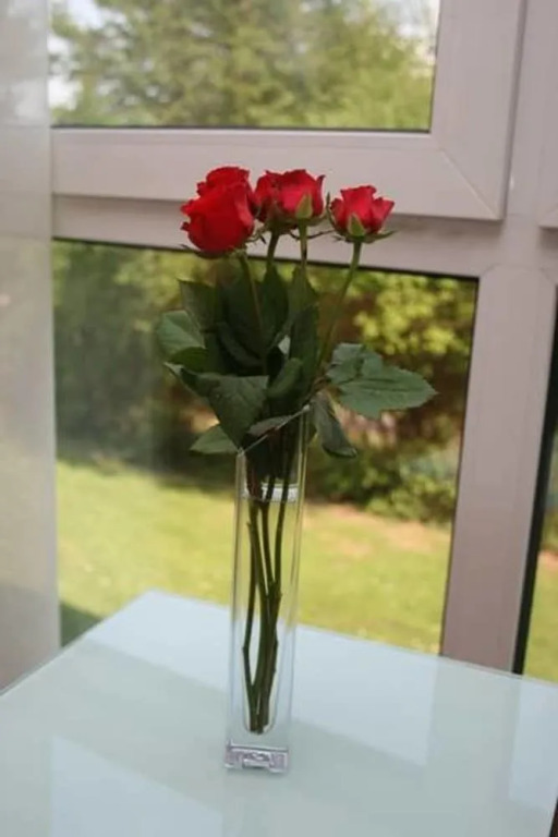 Hotel-Restaurant Fasanerie