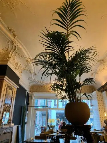 Boutique Hotel De Salon