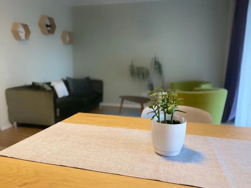 Apartament Terra