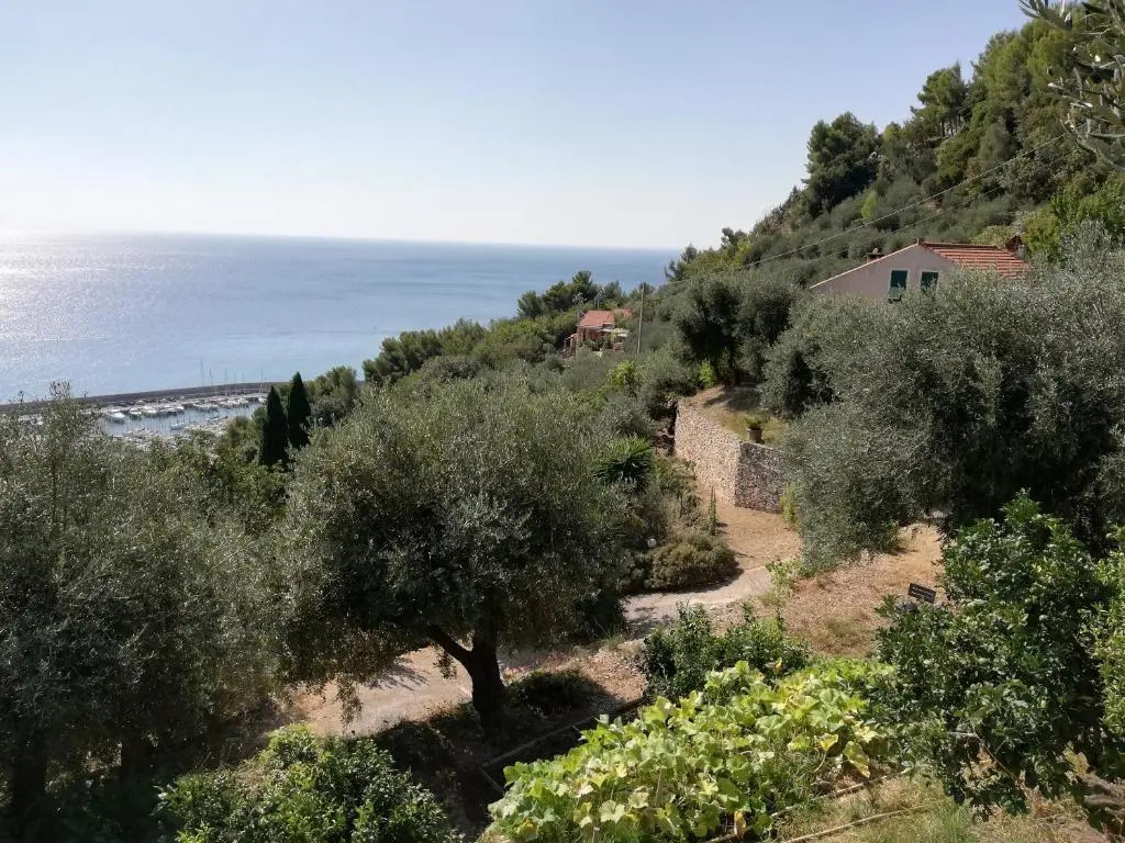 Ariadimare guest house