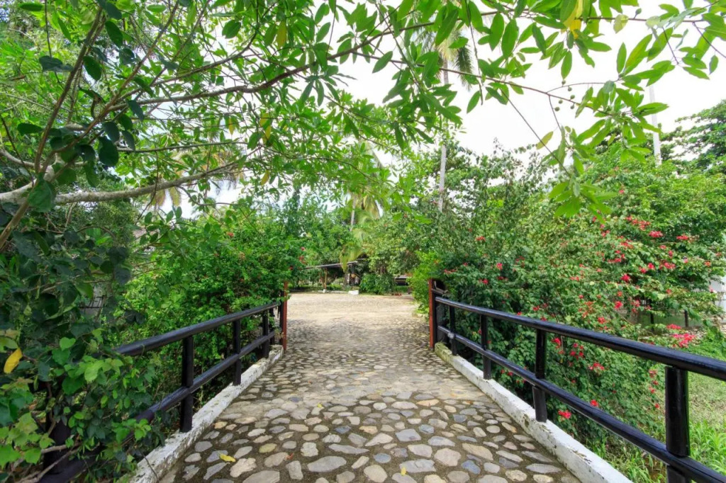 La Mar de Bien Tayrona