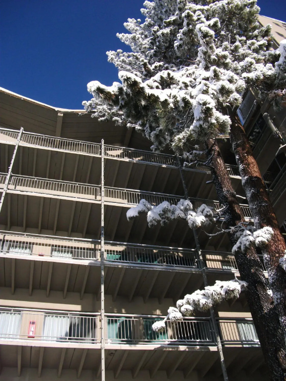Pepper Tree Inn Tahoe City