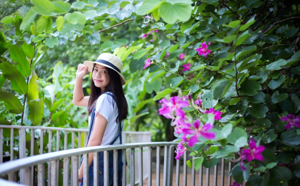 Watermill Resort