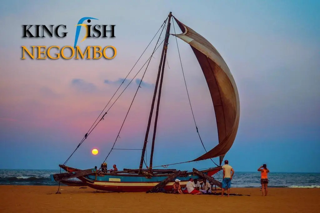 King Fish Guest House