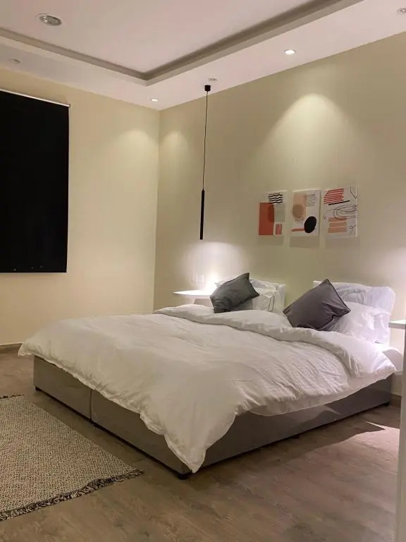 Elegant Apartment in Riyadh