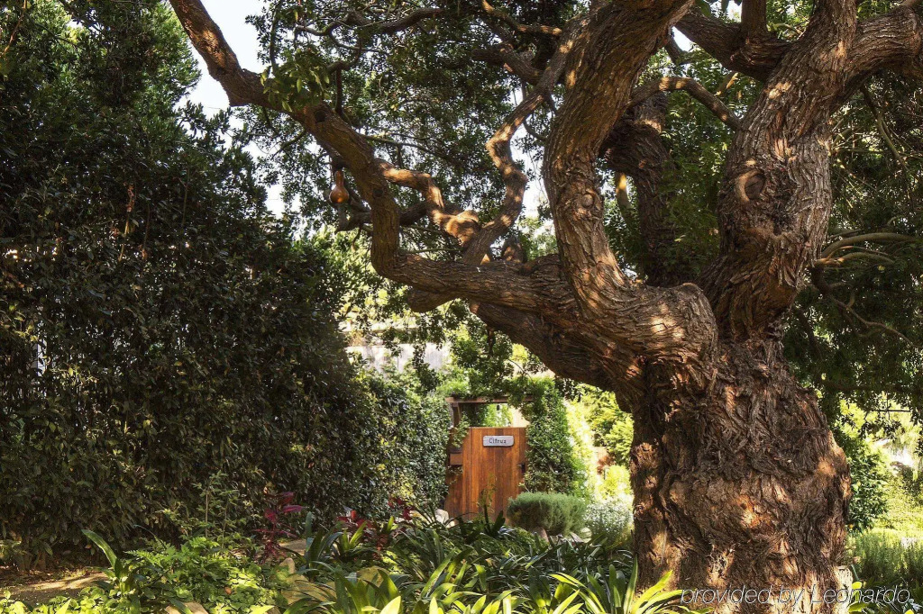San Ysidro Ranch