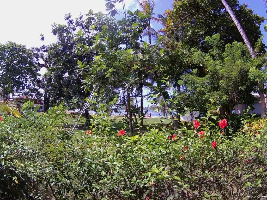 Hospedaje Yarisnori