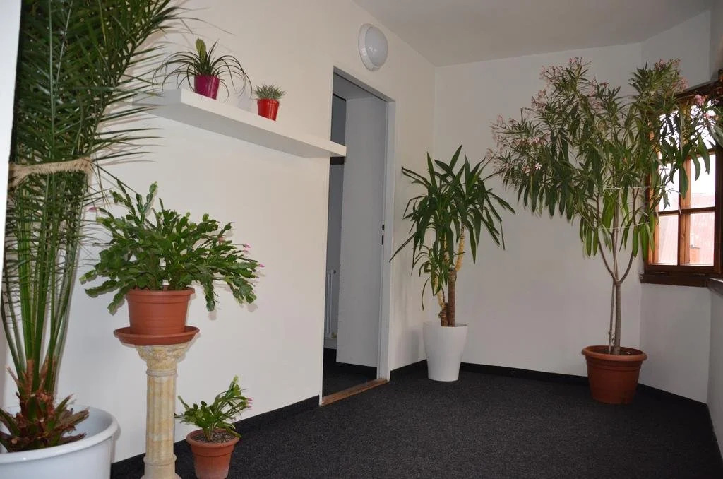 Guesthouse Zlatý Hrozen