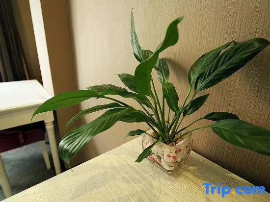 Yongfu Shuitianhui Business Holiday Hotel