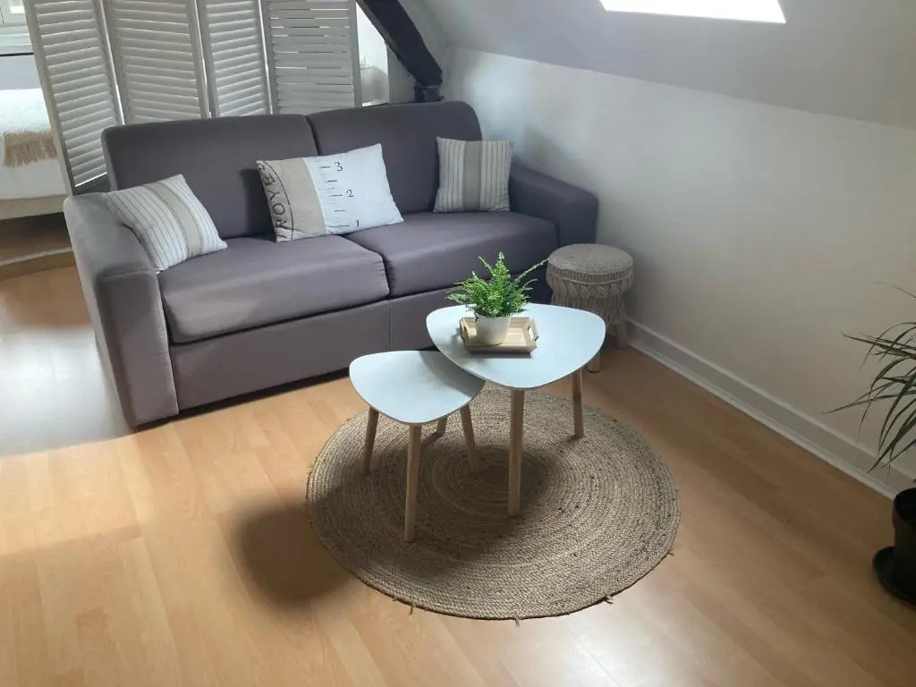 Studio Deschainets - Center of Troyes 200m from the Train Station
