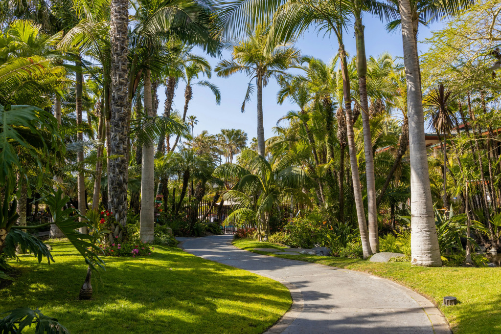 Catamaran Resort Hotel and Spa