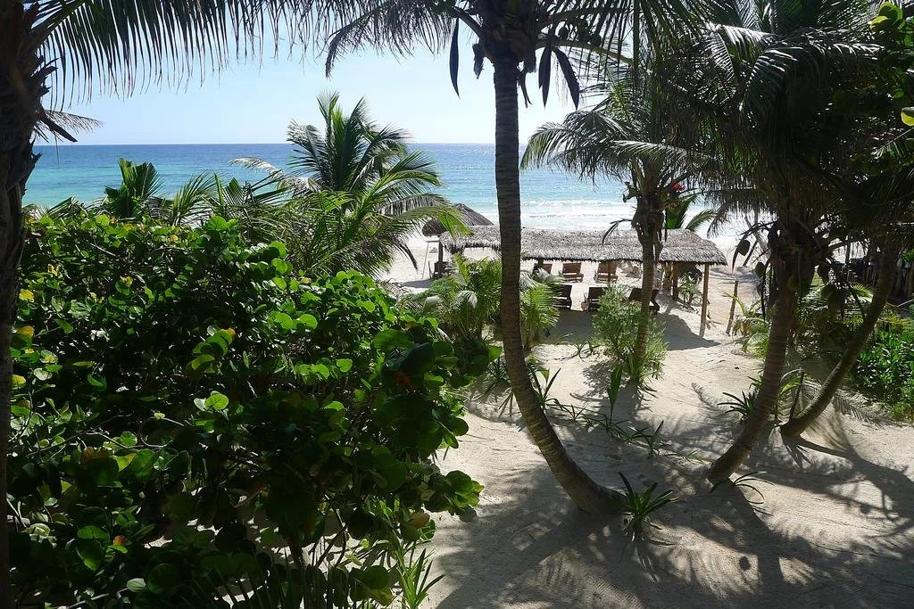 Hotel Amoreira
