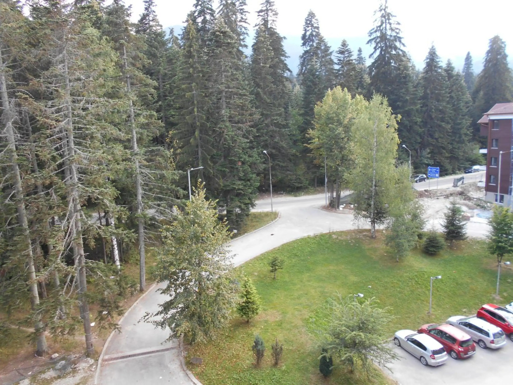 Studio D-55 in Borovets Gardens hotel