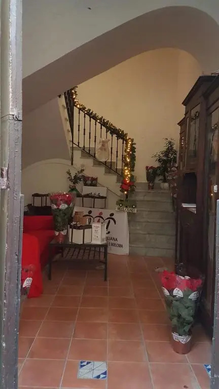 Martucci 83