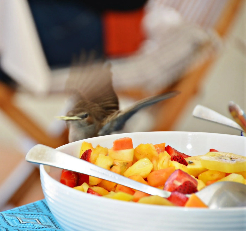 The Grosvenor Guest House & Self Catering