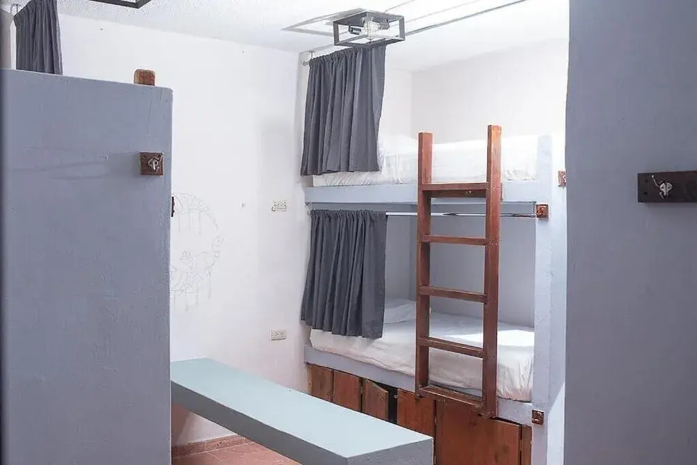 Mapache Hostel & Camping