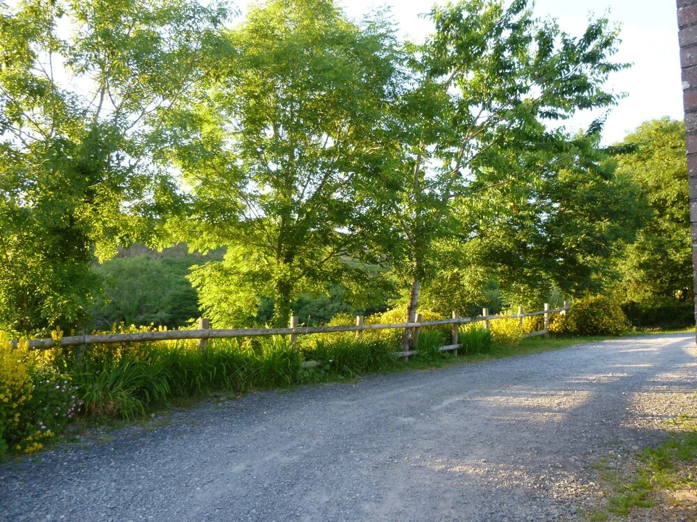 Nantgwynfaen Organic Farm B&B Wales