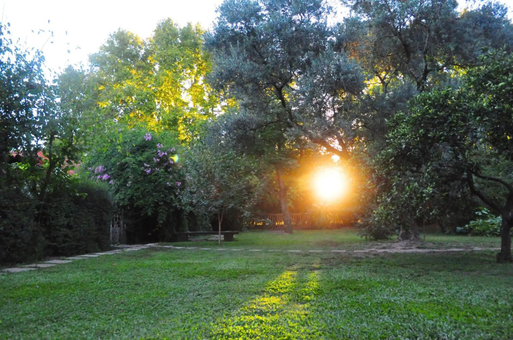 Los Olivos Loft