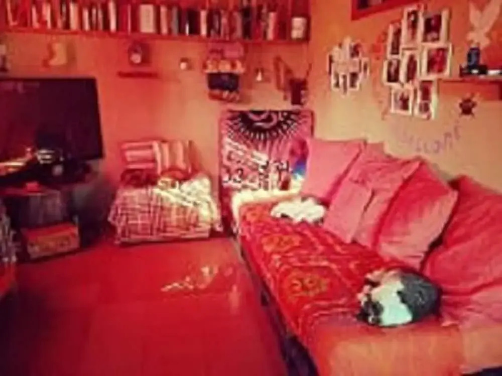 Oasi LIV Palermo