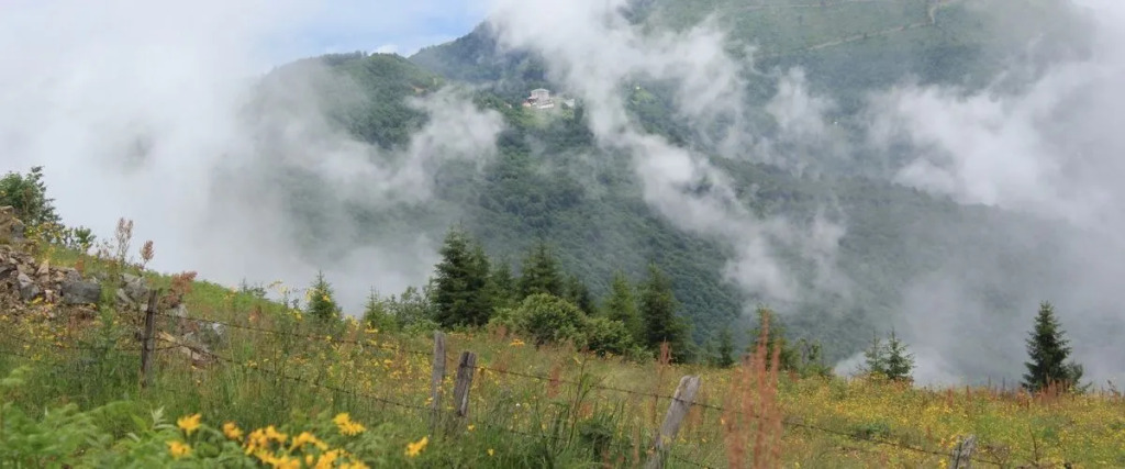 Sirt Yayla Butik Hotel