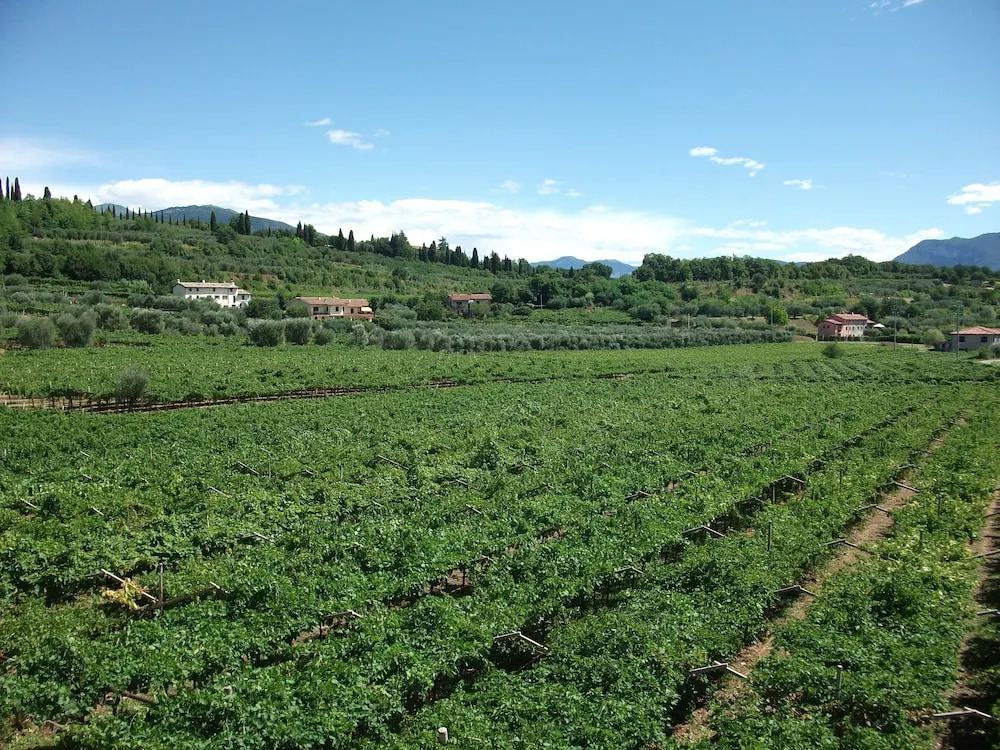 Agriturismo La Rocca