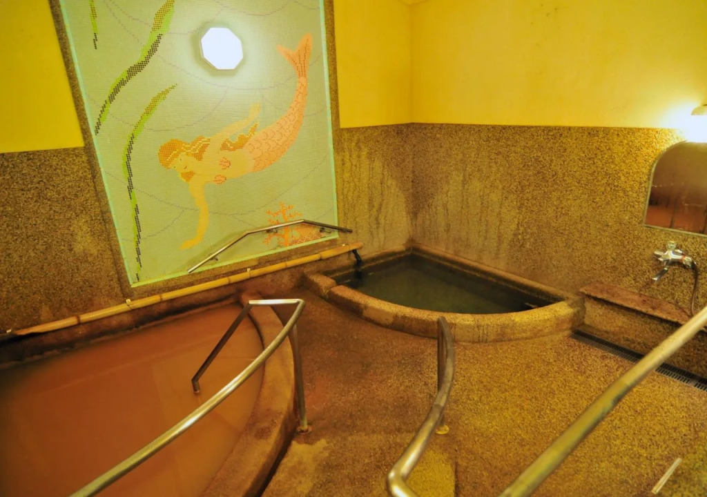 Hotel Hanakoyado