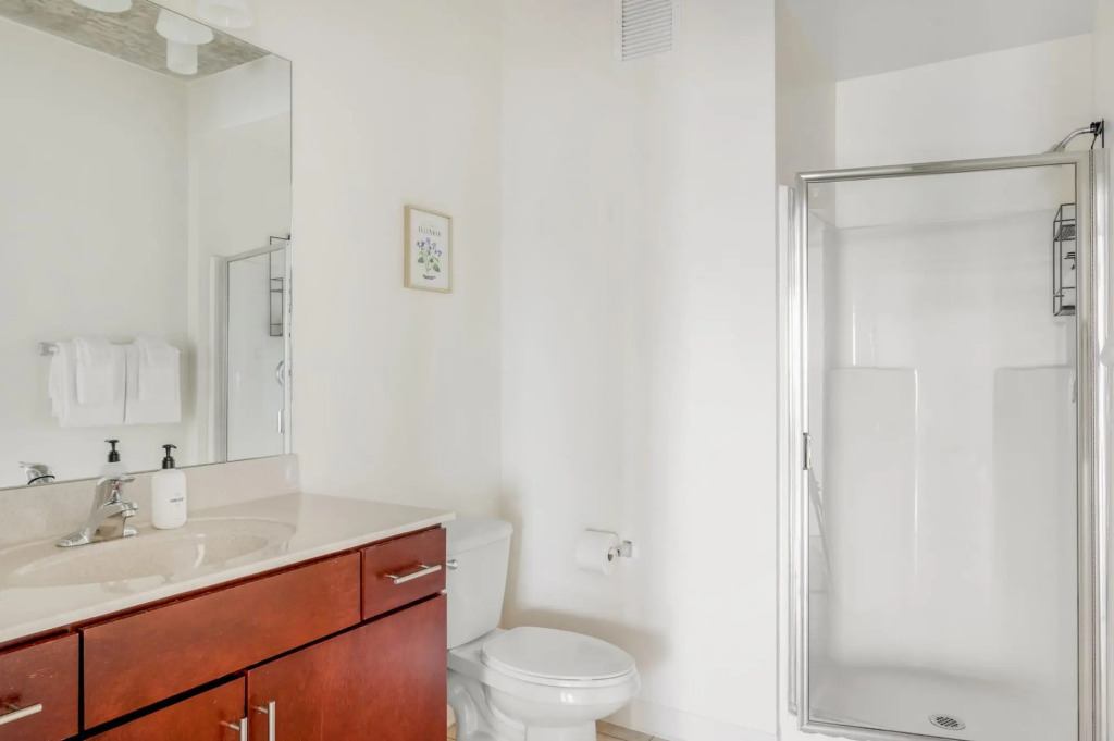 Chicago | Alluring 2BD/2BA South Loop Apartment