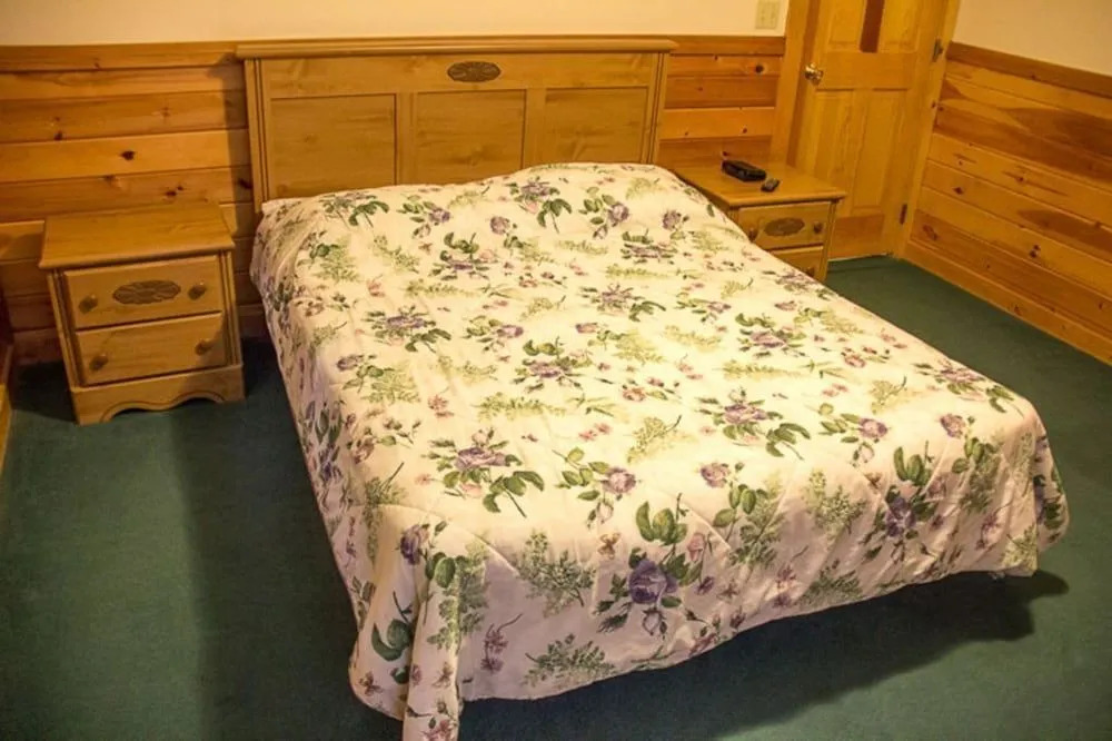 24 Bear Trax - 3 Br Cabin