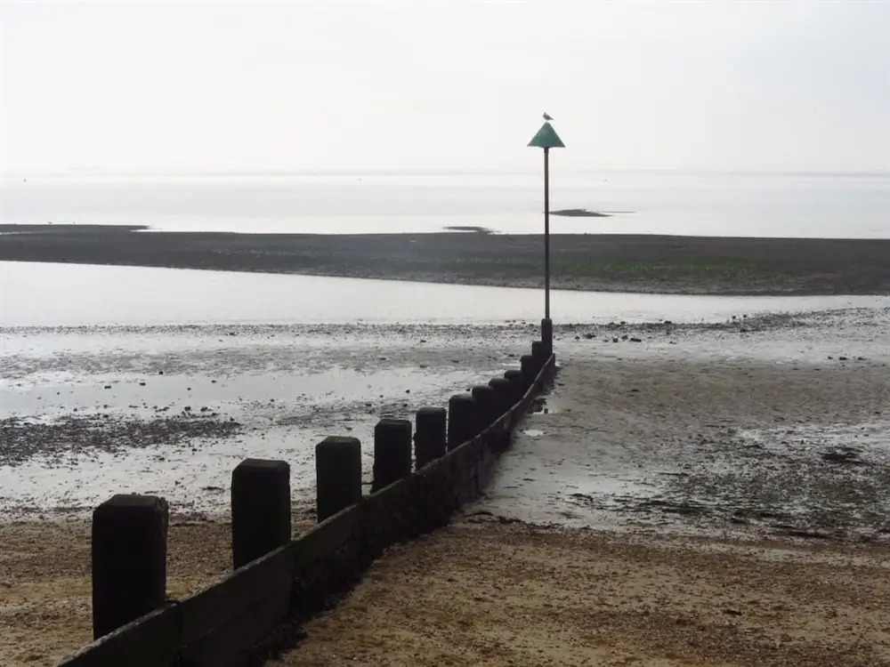 The Landings @ 83