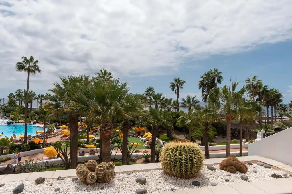 Parque Santiago IV 70 - Studio with sea and pool view