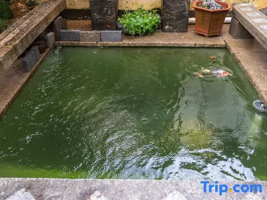 Huangshan Chengkan Yongxing Lake Homestay