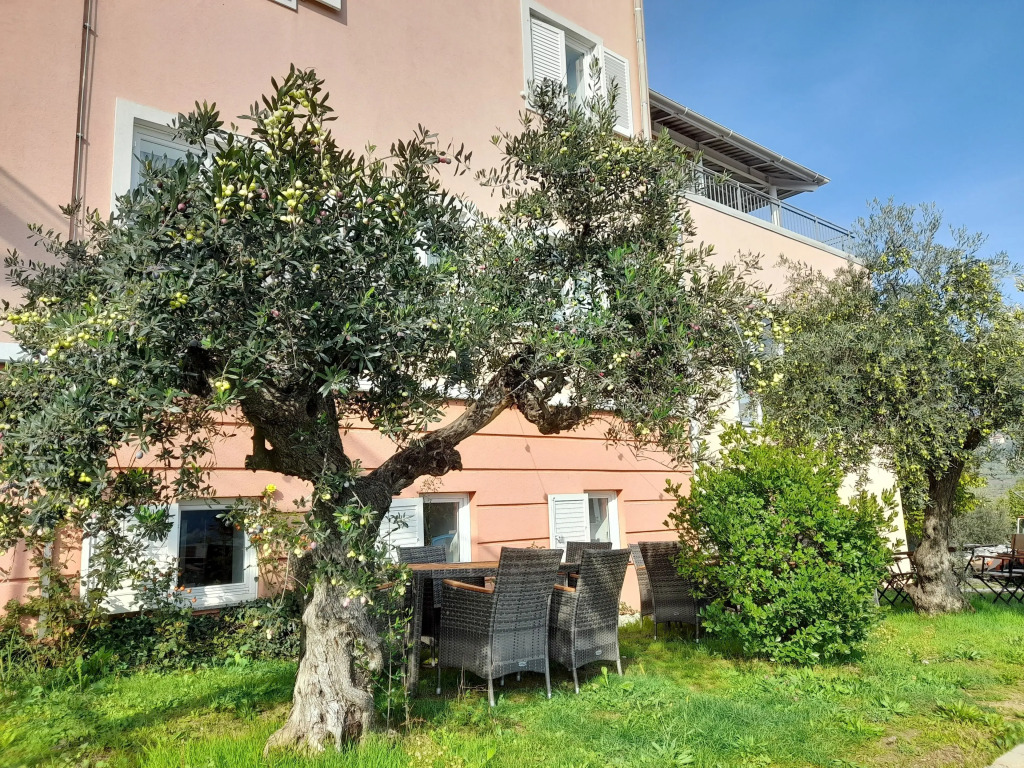 Hotel Kozana