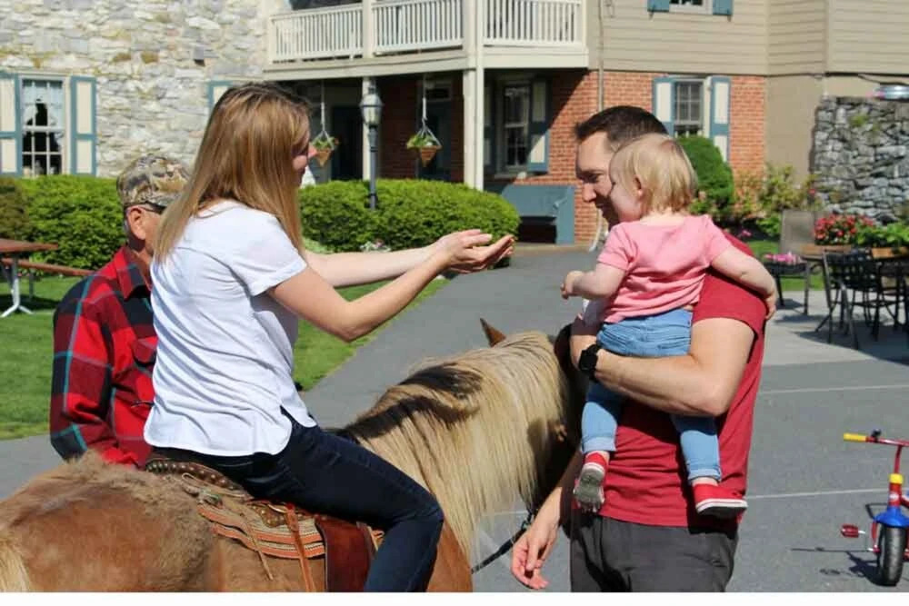 Rocky Acre Farm Bed and Breakfast